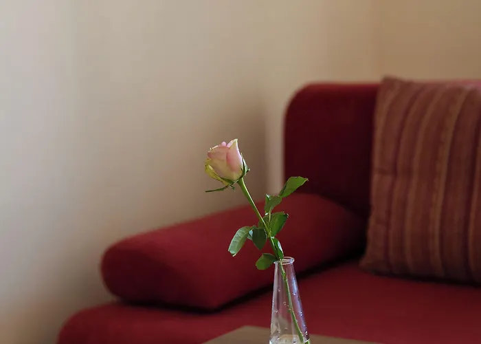 Hotell Prachen Horažďovice